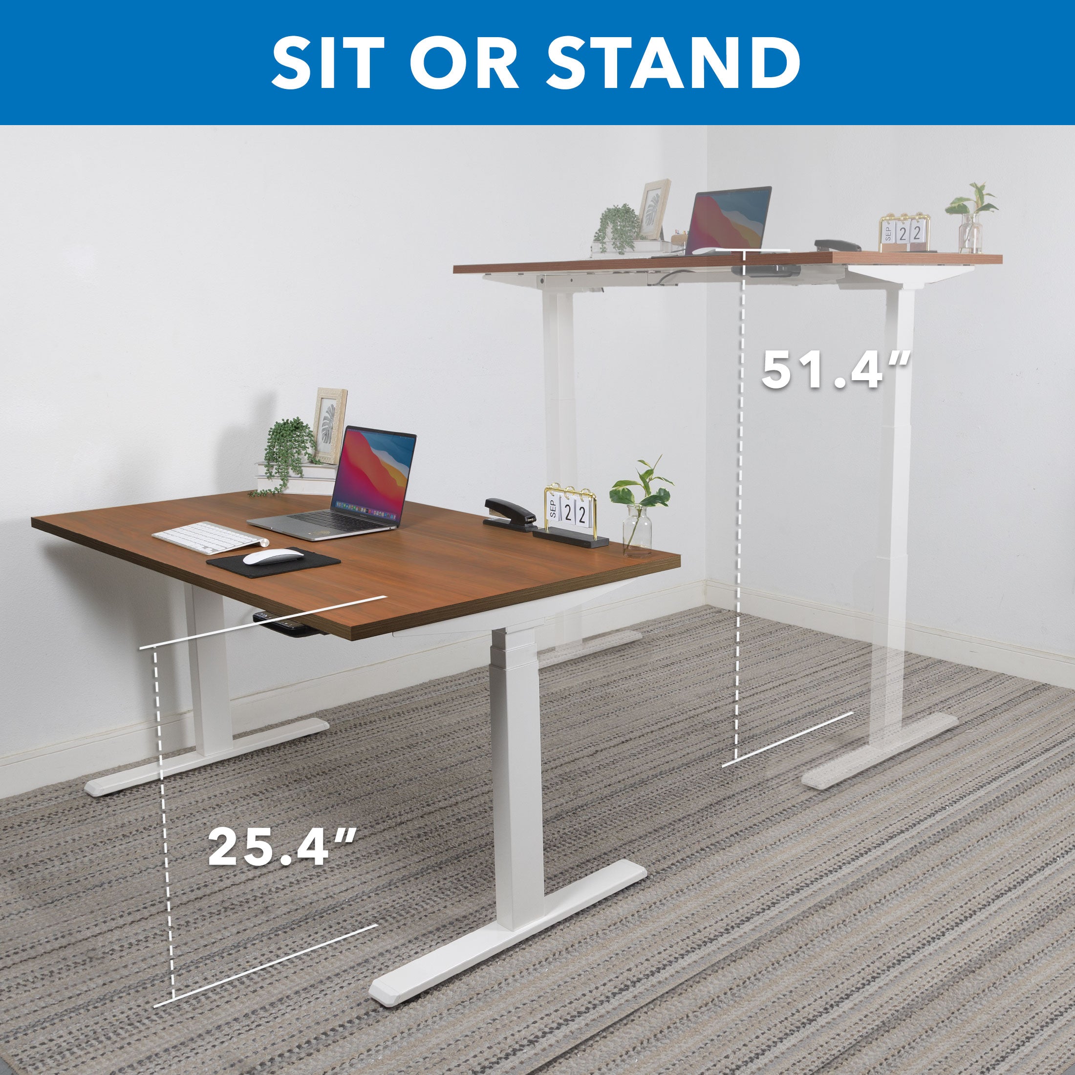 Ultimate Dual Motor Electric Standing Desk with 55" Tabletop - Brown