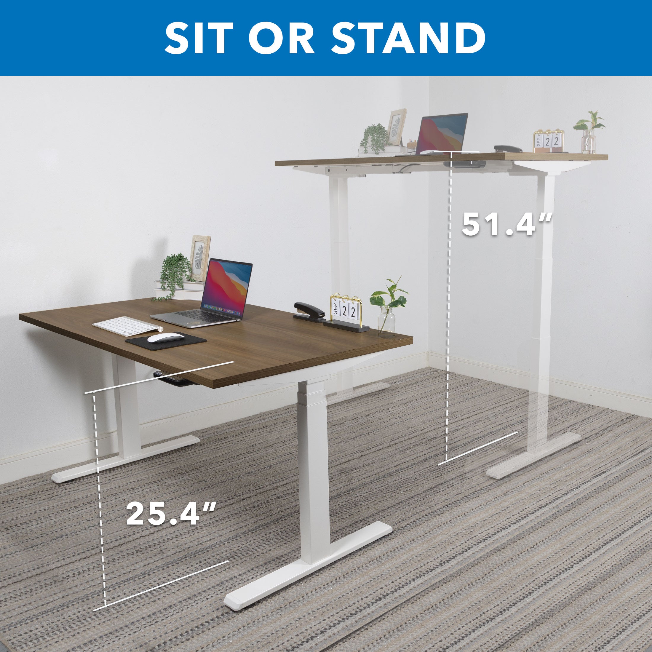 Ultimate Dual Motor Electric Standing Desk with 55" Tabletop - Adrift