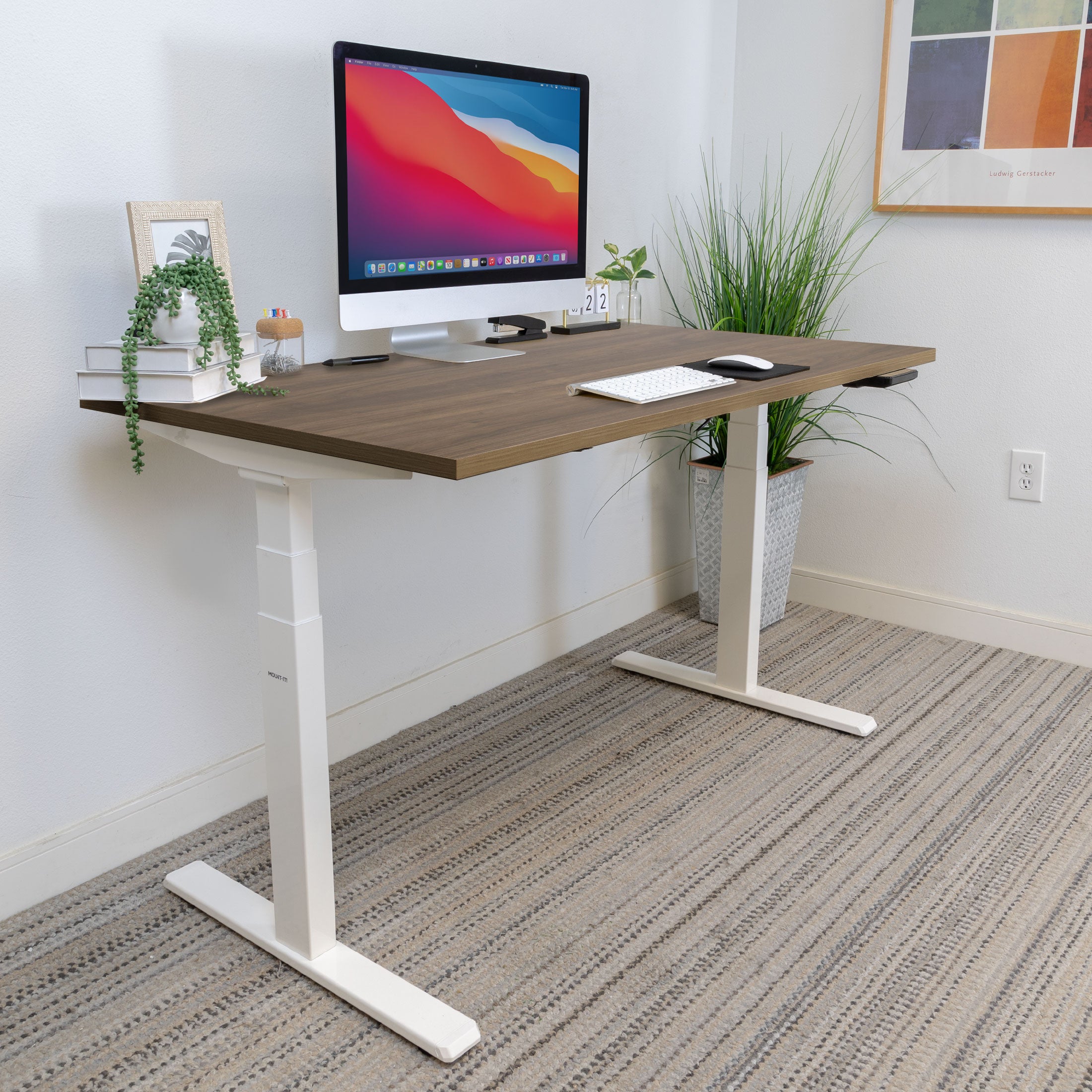 Ultimate Dual Motor Electric Standing Desk with 55" Tabletop - Adrift