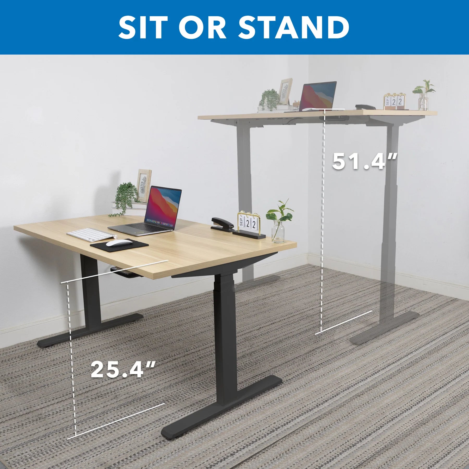 Ultimate Dual Motor Electric Standing Desk with 55" Tabletop - Black Base/Maple Top