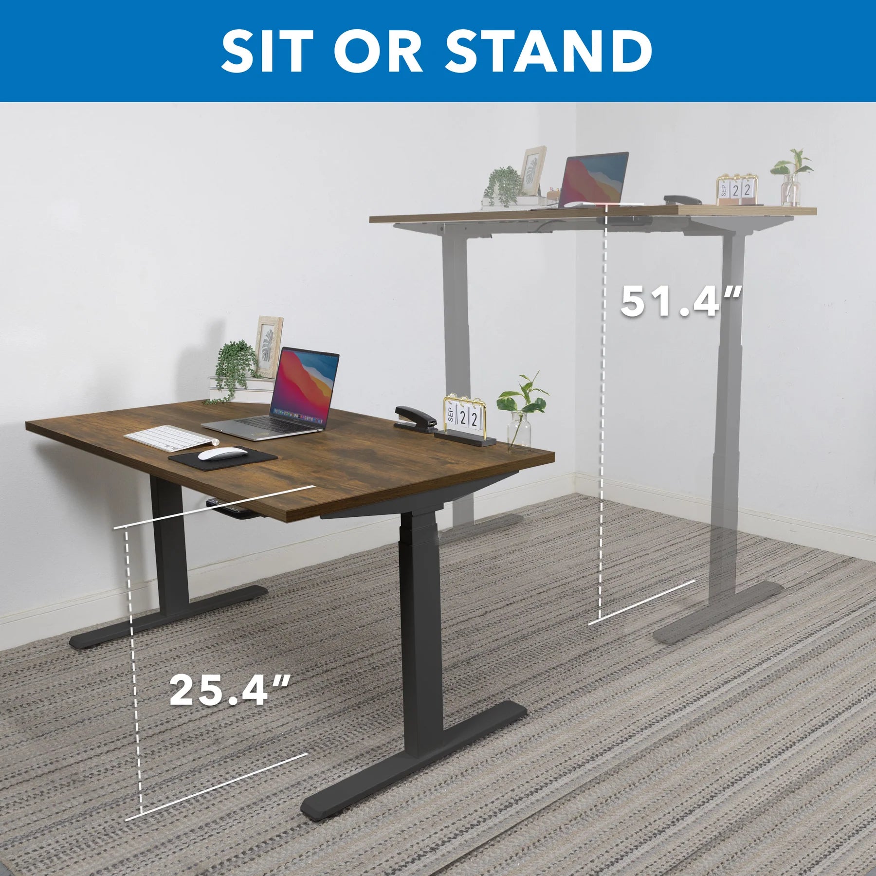 Ultimate Dual Motor Electric Standing Desk with 55" Tabletop - Black Base/Oak Top