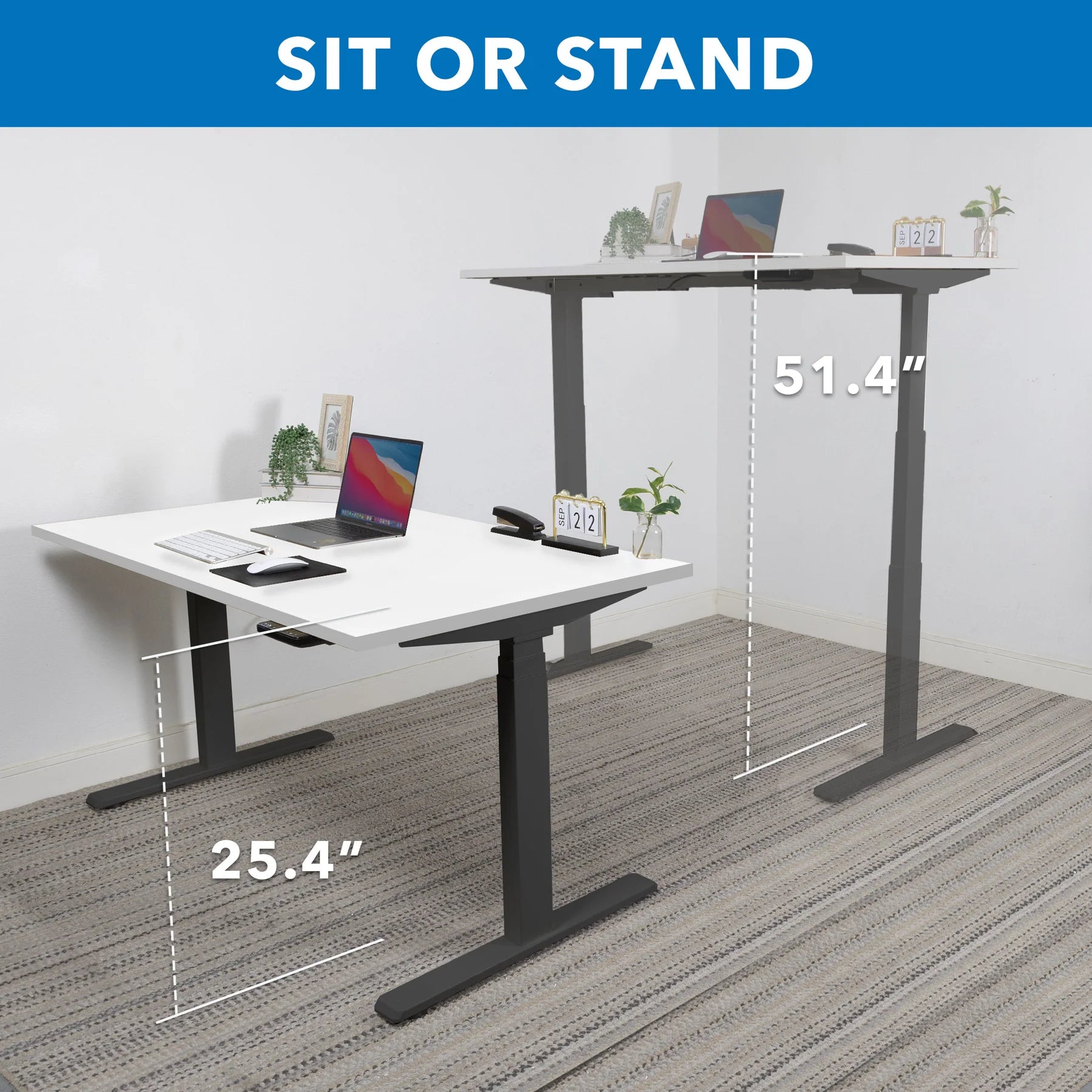 Ultimate Dual Motor Electric Standing Desk with 55" Tabletop - Black Base/White Top